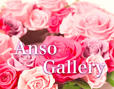 Anso Gallery